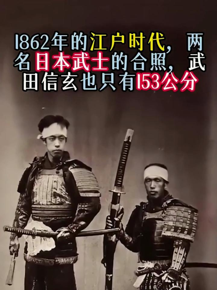 条顿武士vs日本武士图片