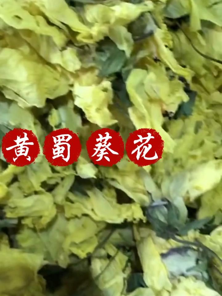 黄蜀葵花化学成分图片