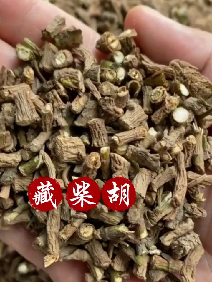 柴胡针药国家禁止图片