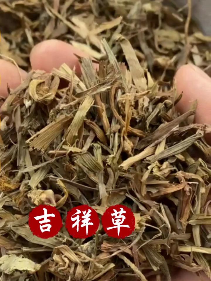 吉祥草的功效与作用图片