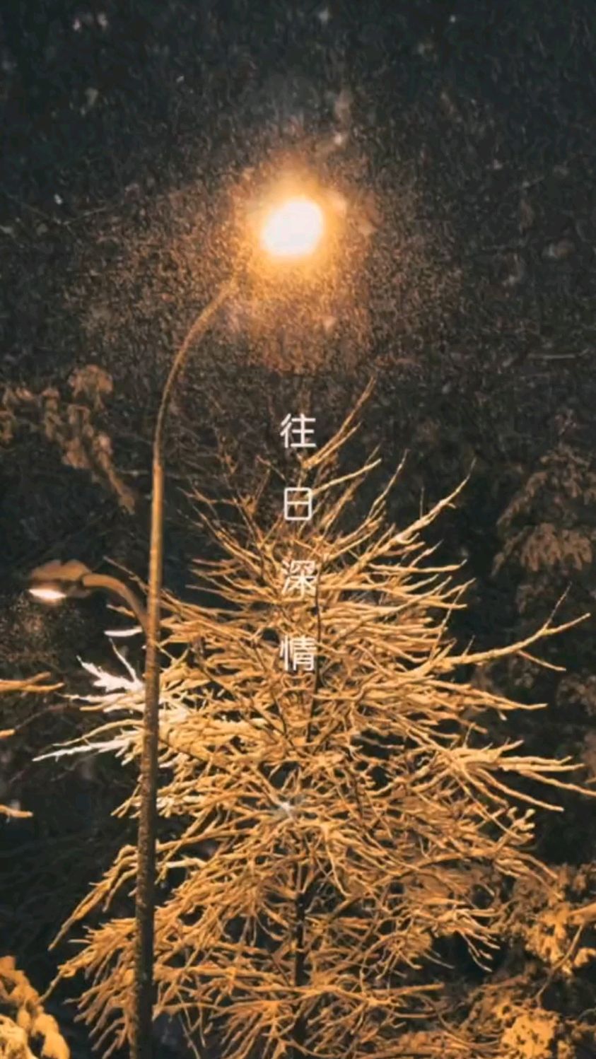 下雪照片真实图夜晚图片