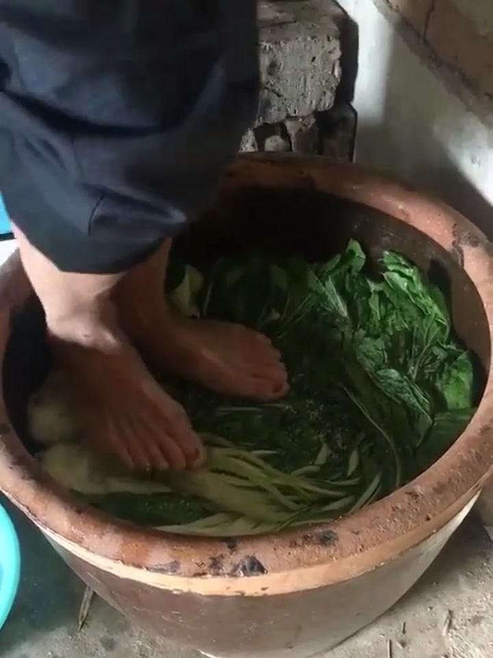 淘米水腌咸菜图片