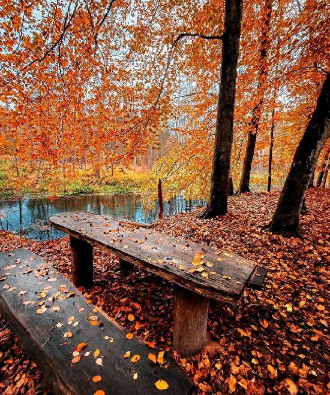 秋景大赏:为什么我们都喜欢拍摄秋天?