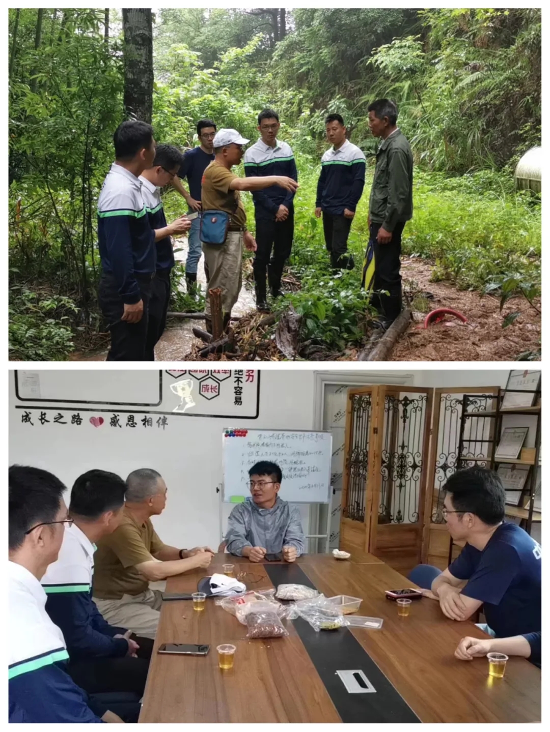 中国平安集团赴和平县上陵镇罗村村调研指导乡村振兴工作