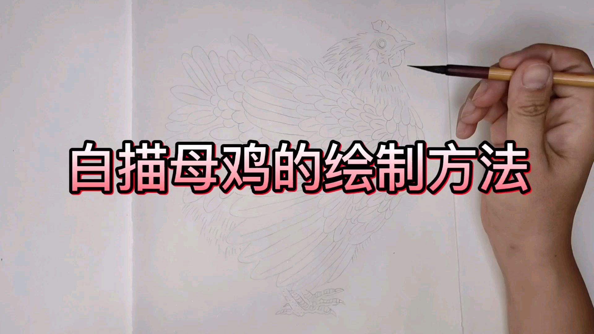 母鸡的白描技法讲解