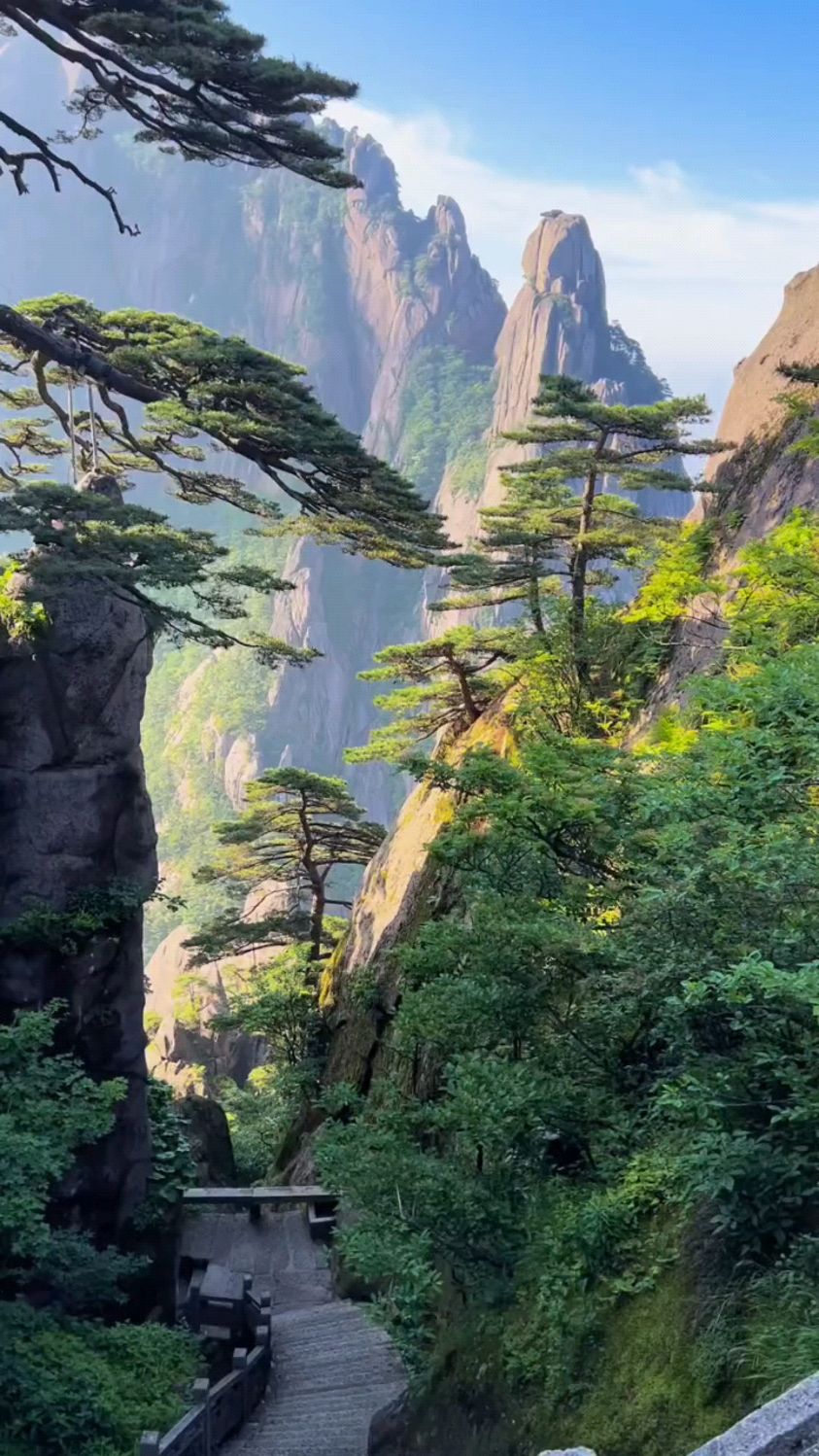 黄山最漂亮的迎客松