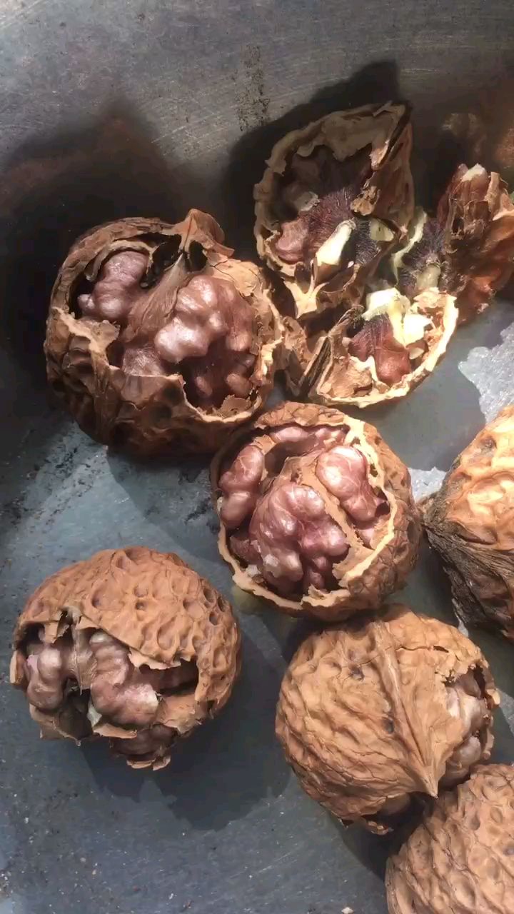 彝山香云南特产紫米核桃紫皮核桃精彩展示!-度小视