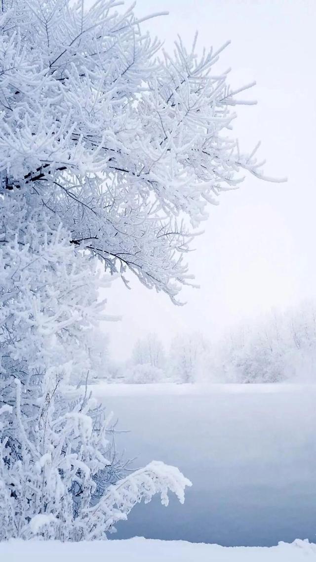 下雪天图片 实景 美景图片