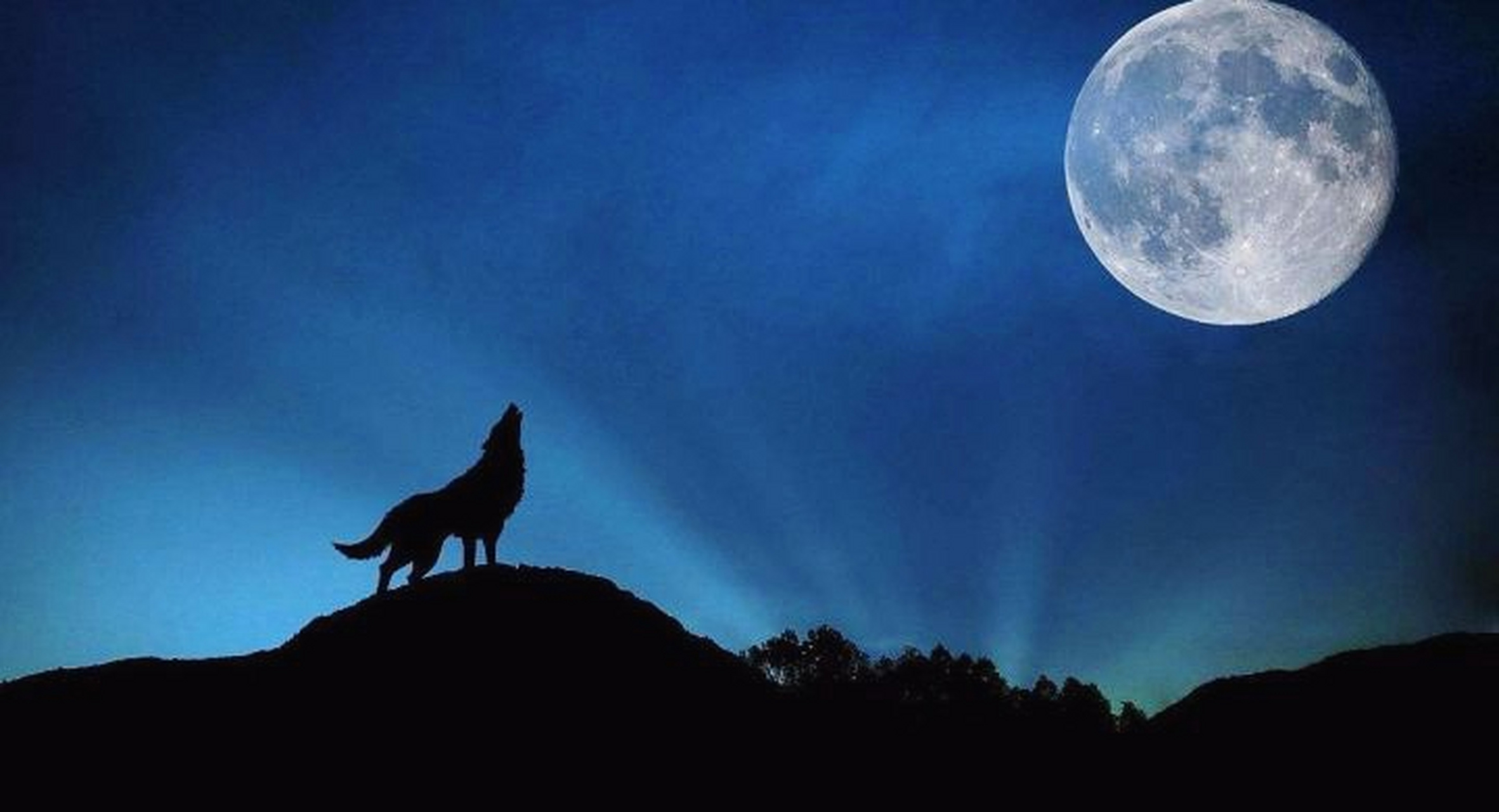 月光下的狼照片 嚎叫图片