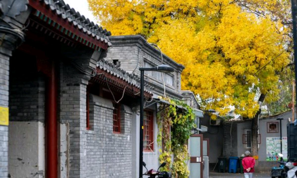 北京秋天最美的11个胡同,文艺范儿的您绝不可错过,错过再等一年