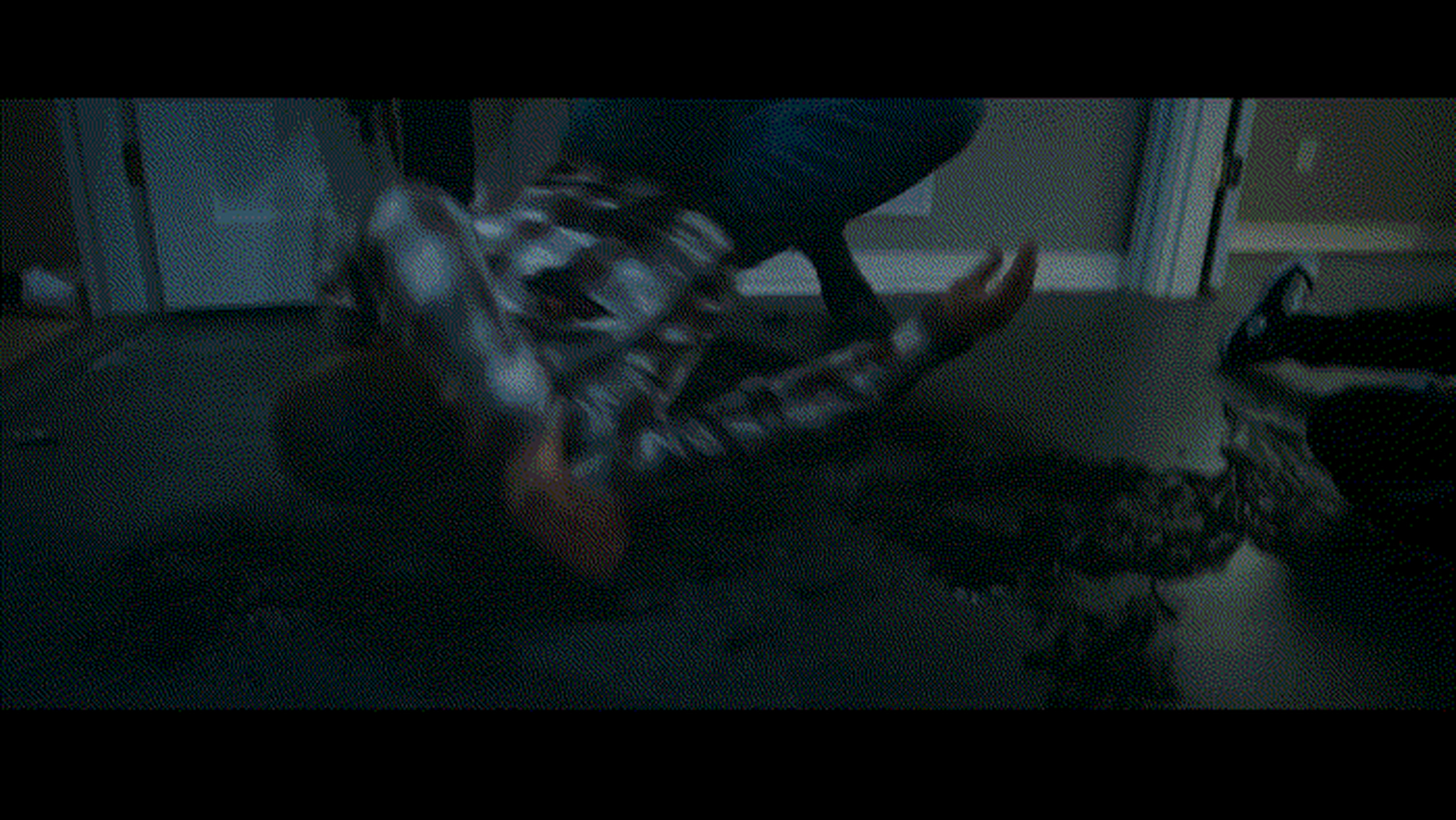 比如著名动作明星斯科特·阿金斯,有也参与其中.