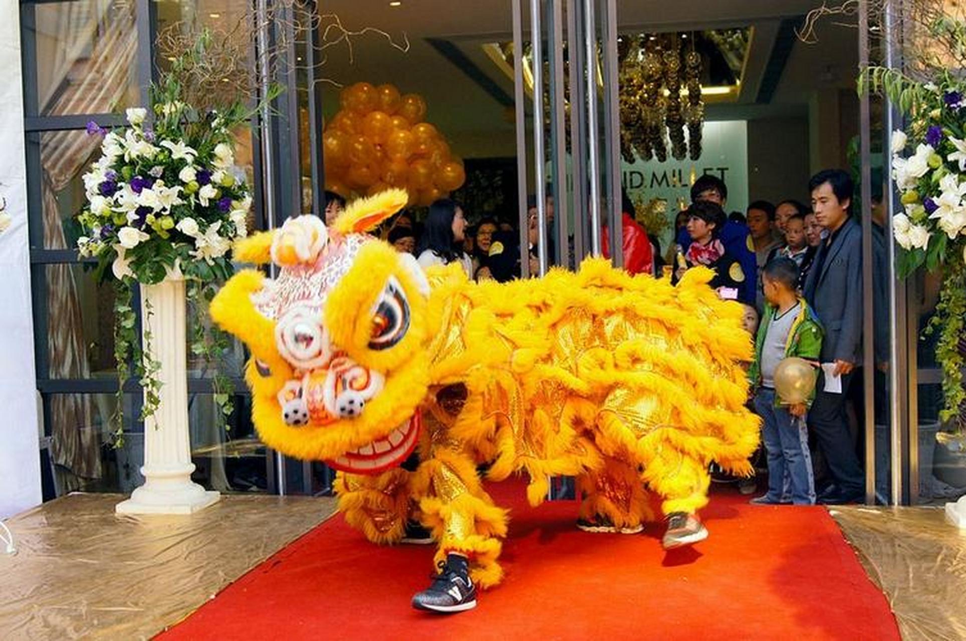 厦门舞狮表演151x2333x2322厦门开业舞狮队乔迁舞狮开业舞狮梅花桩