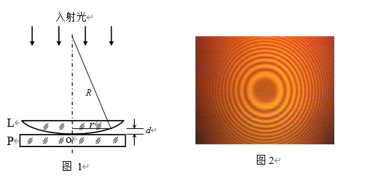 牛顿环实验报告