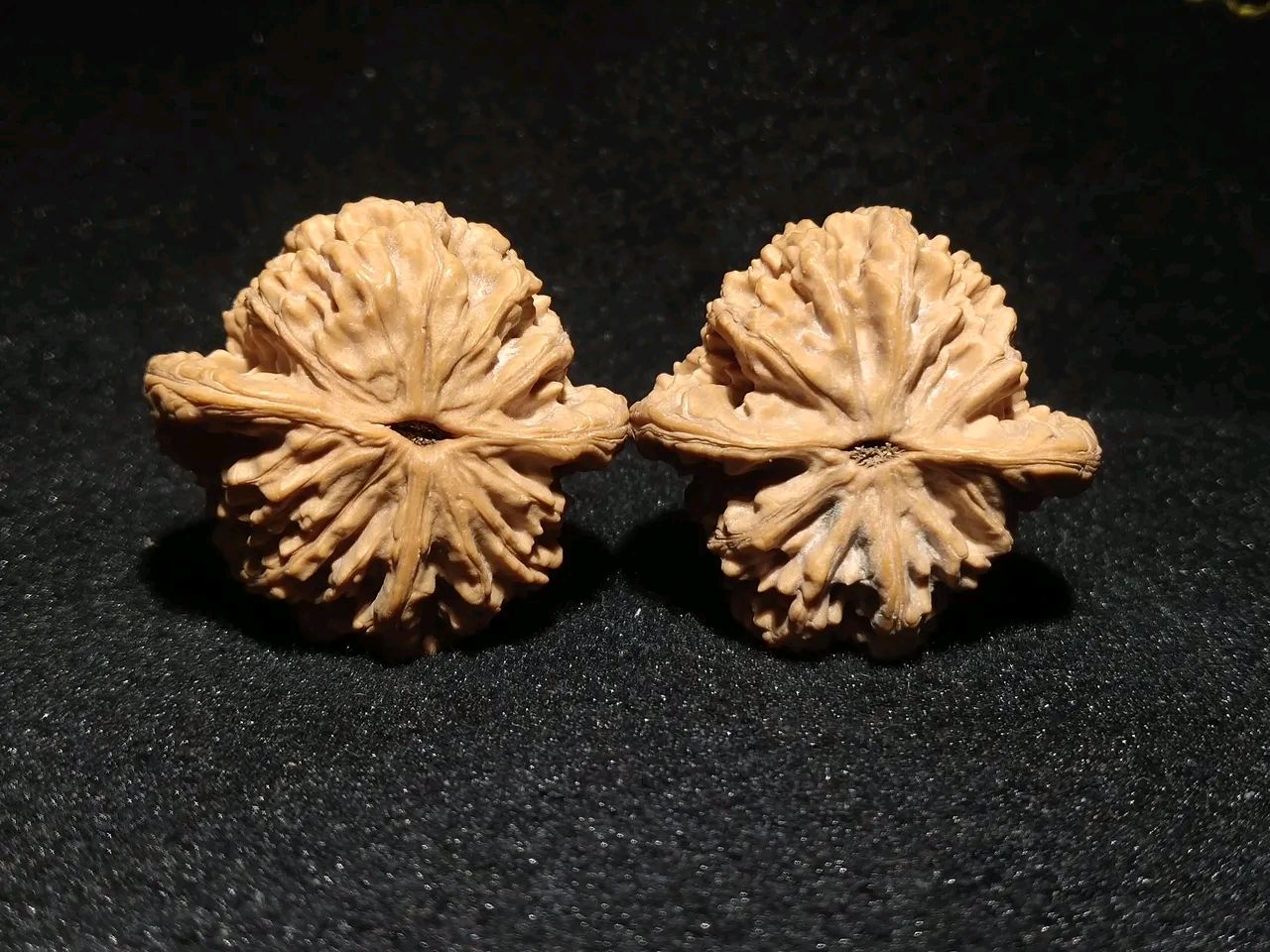 文玩核桃证件照之狮虎兽