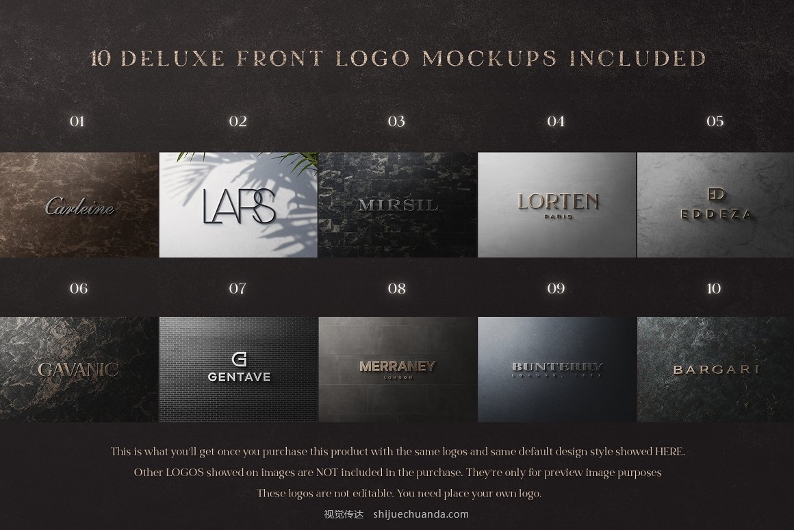 10 Deluxe Front Logo Mockups - V2-1.jpg