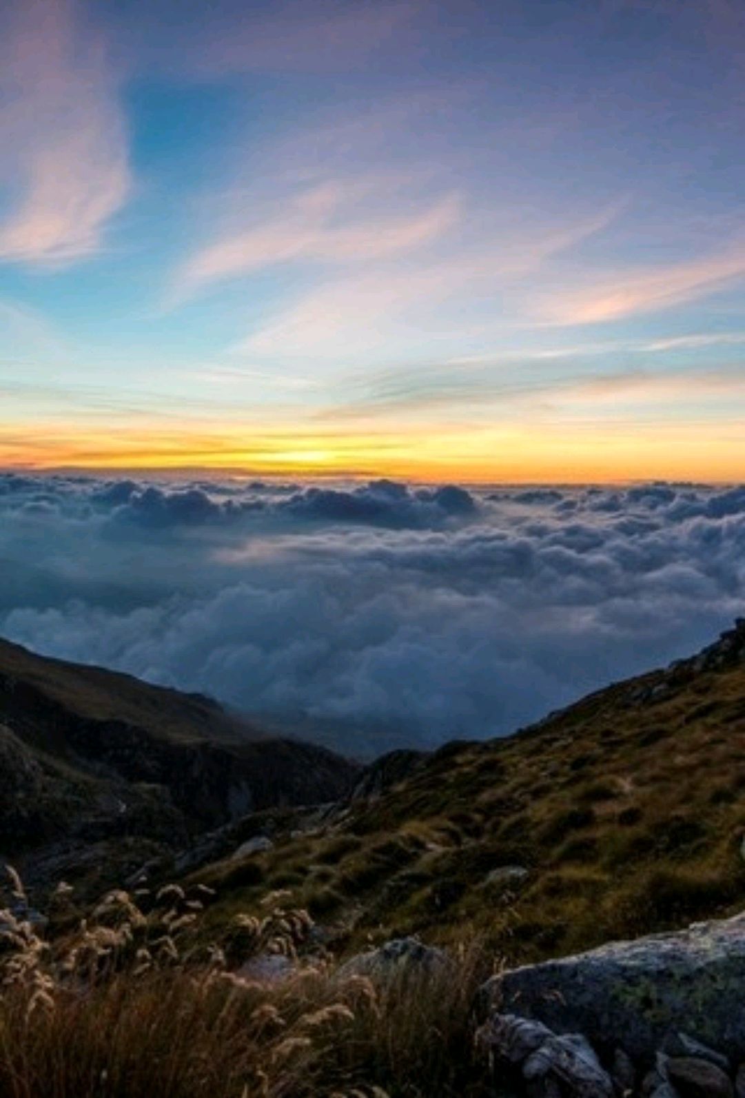 人生最美的风景,就是简单活着,无怨无悔