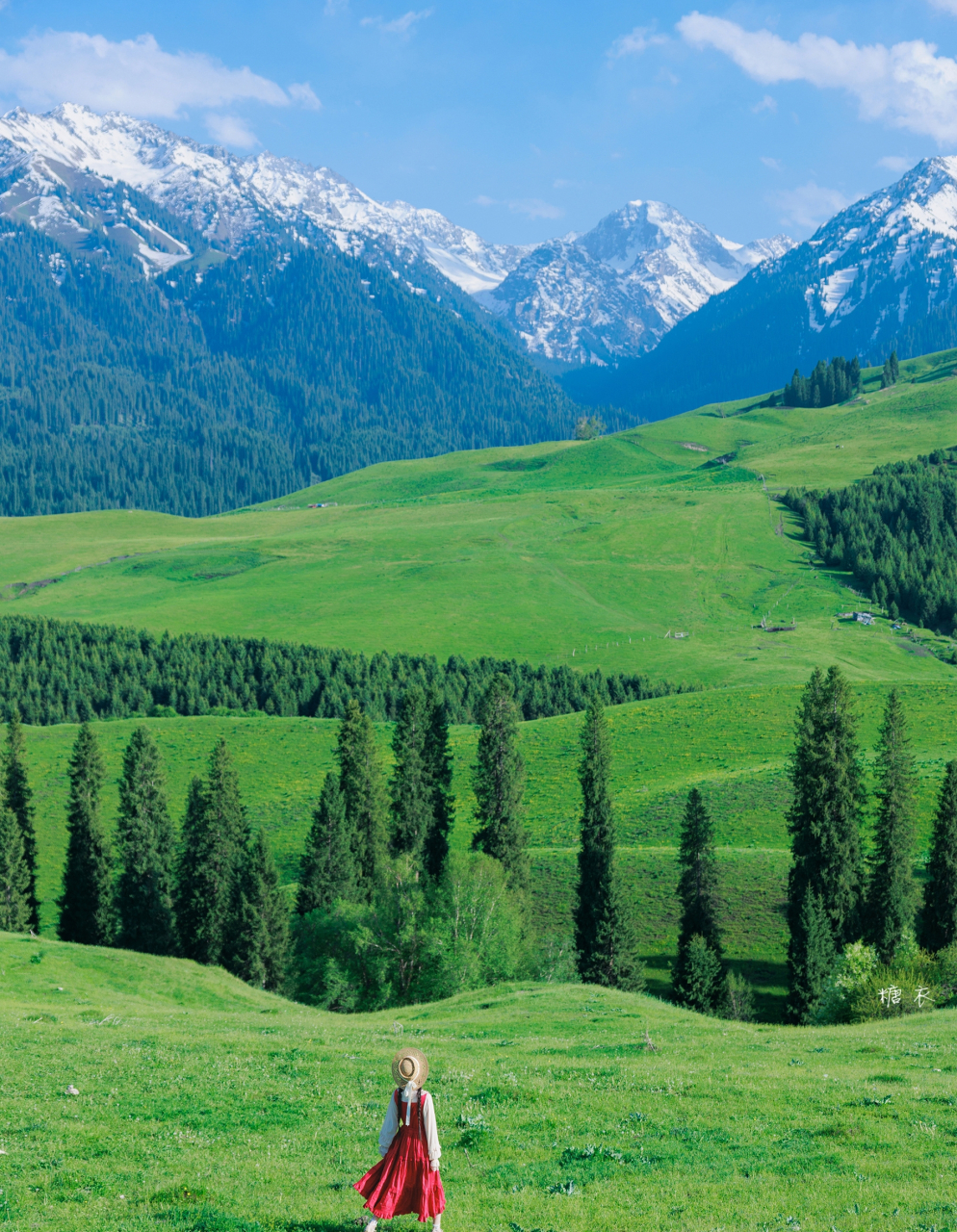恰西草原的每一幕都像漫画!