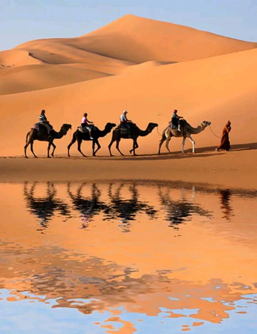 春节刚过,带着全省800万企退人给新任人社部长的诉求和全省企退人殷切