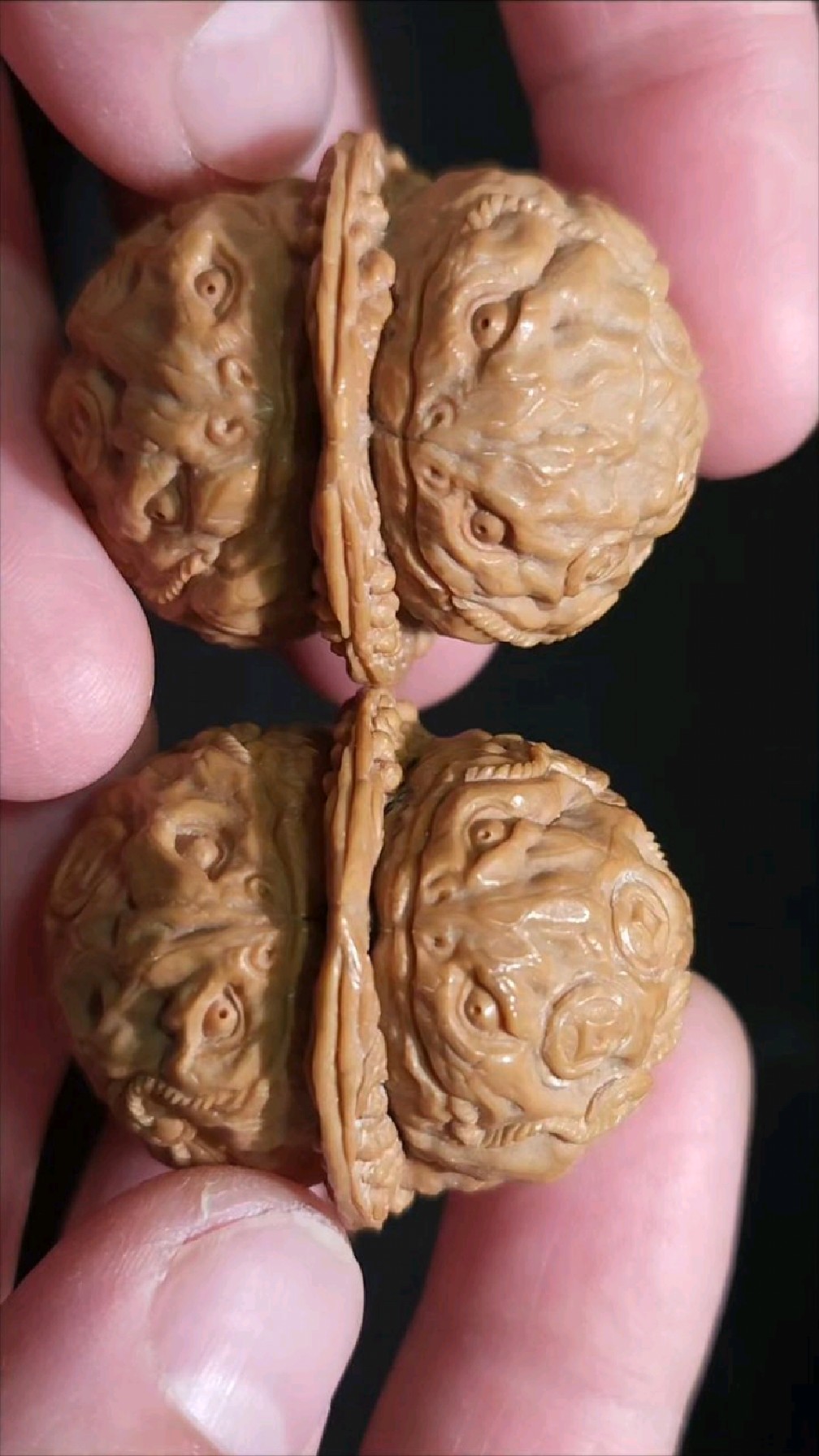 铁核桃雕刻的招财金蟾一对儿,是不是丑萌丑萌的!-度小视