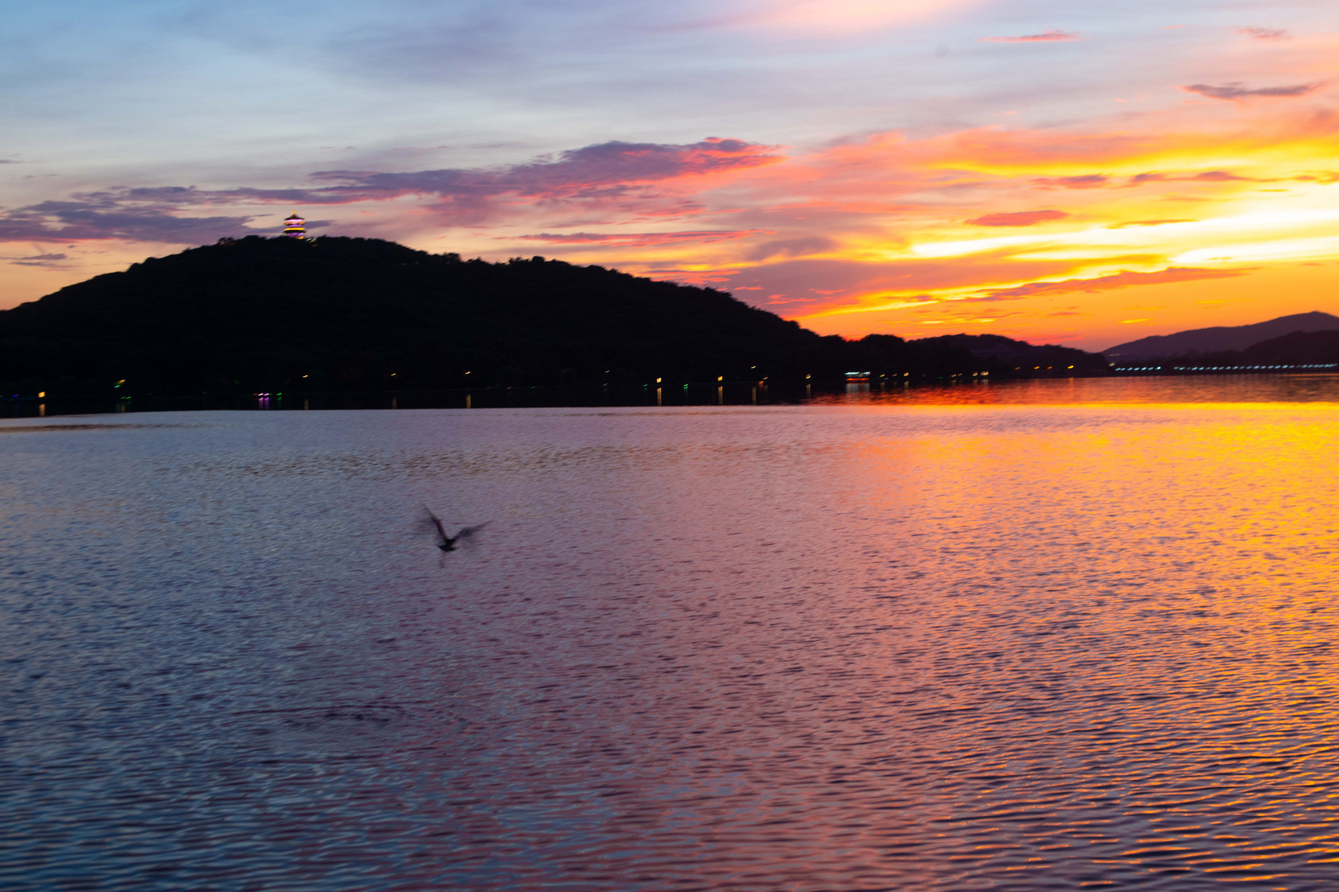 秋日生活创作季# 鼋头渚的鹿顶山,对于无锡本地人来说,并不以鹿出名