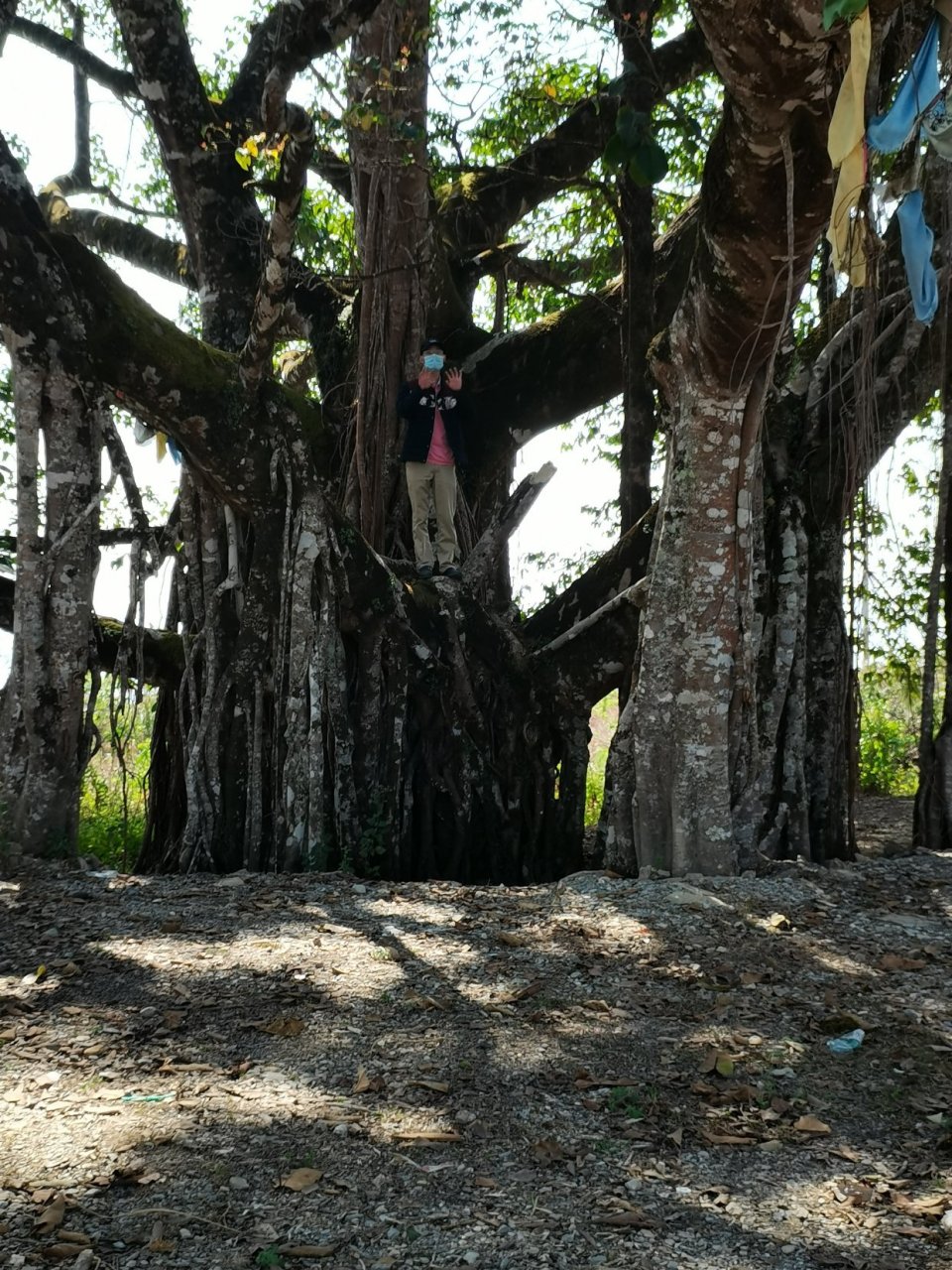 勐平,贺岛,勐波地区回国人员,要先在勐波县商业城做核酸检测,隔天拿