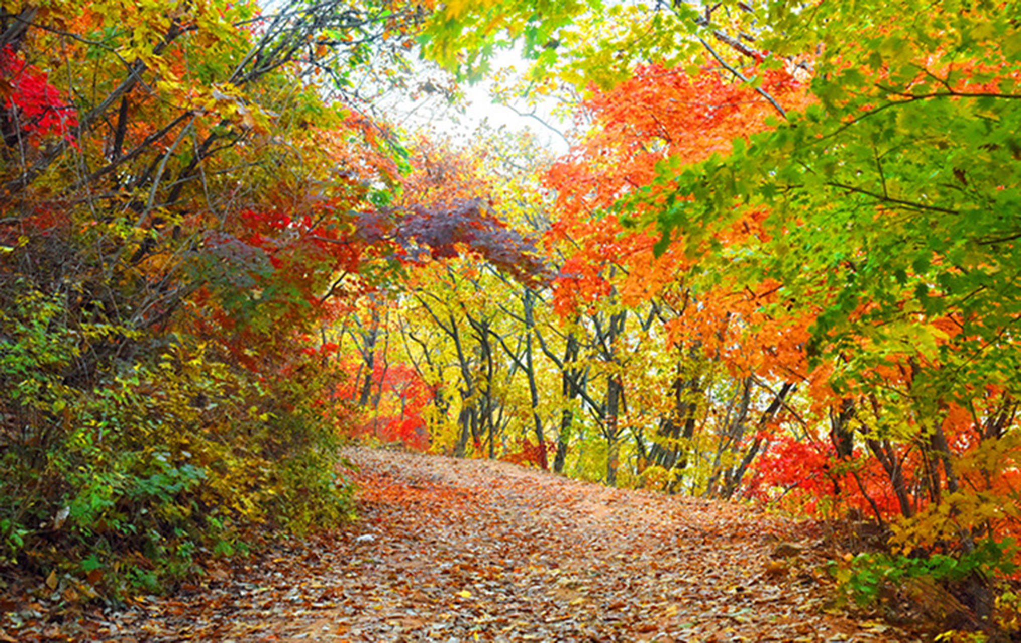 秋天风景# 层林尽染