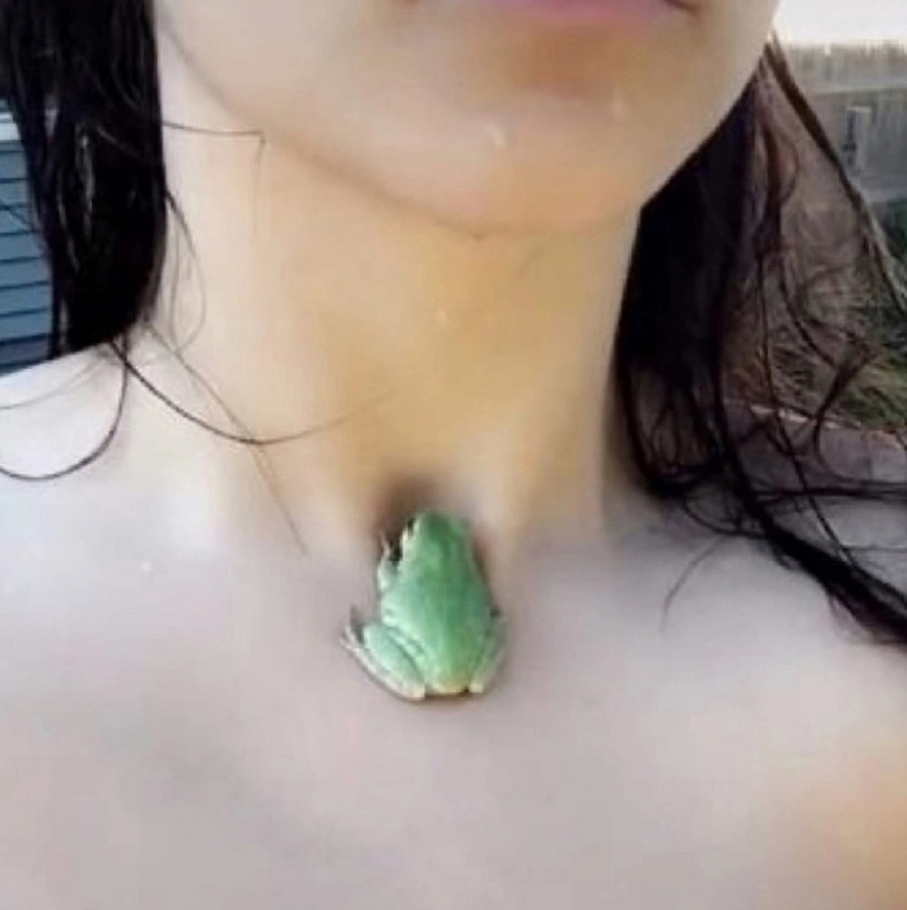 有的人锁骨可以养鱼,不过那种鱼就像小蝌蚪那么大,只要不是特别胖都能