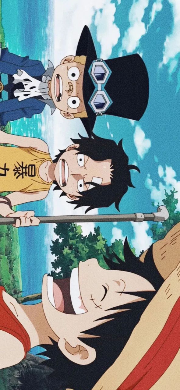 动漫壁纸# #海贼王# 艾斯萨博路飞三兄弟三小只