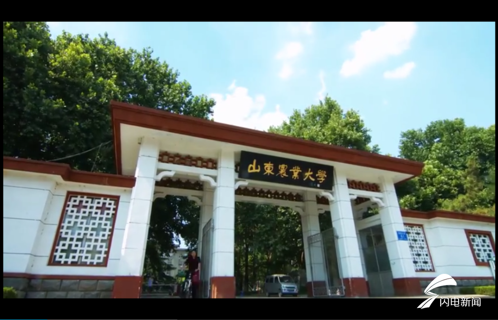 山东农业大学大门图片图片