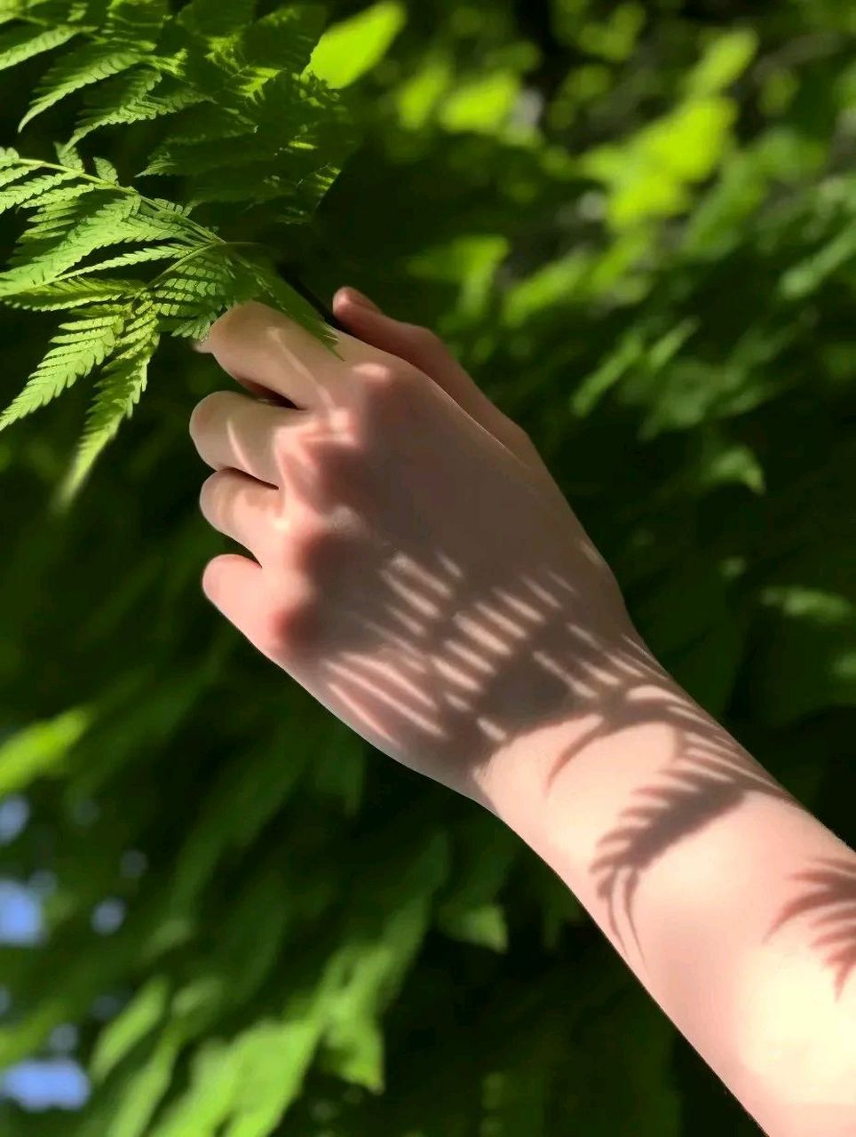 人与人之间的相遇靠业力牵引,如果你是个很糟糕的人,那么就不要怪身边