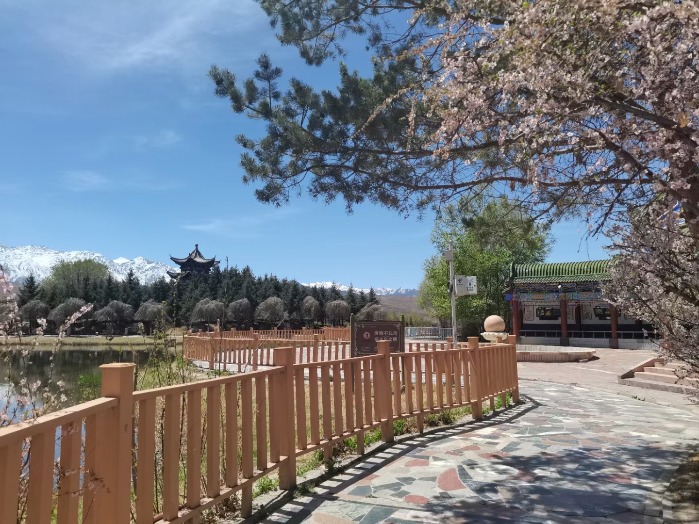 甘肃民乐公园春季盛景
