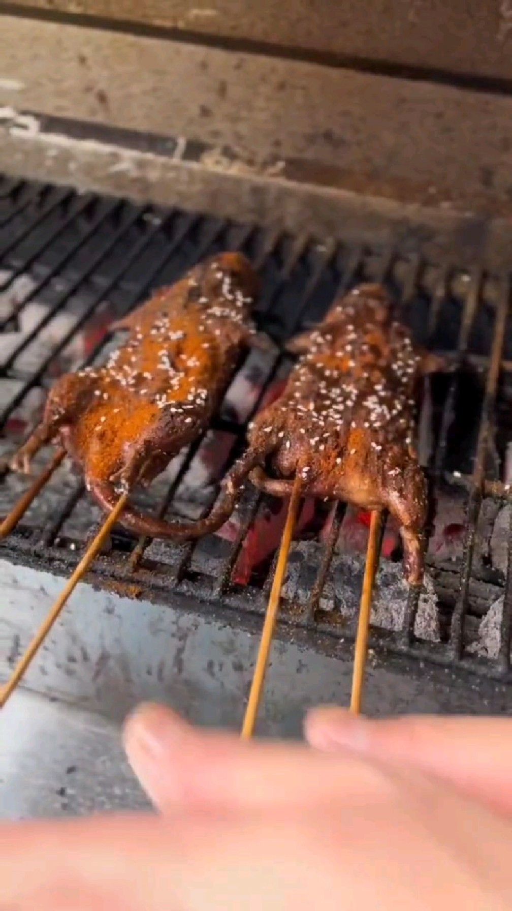 特色美食烤老鼠,直接点一队姐妹花