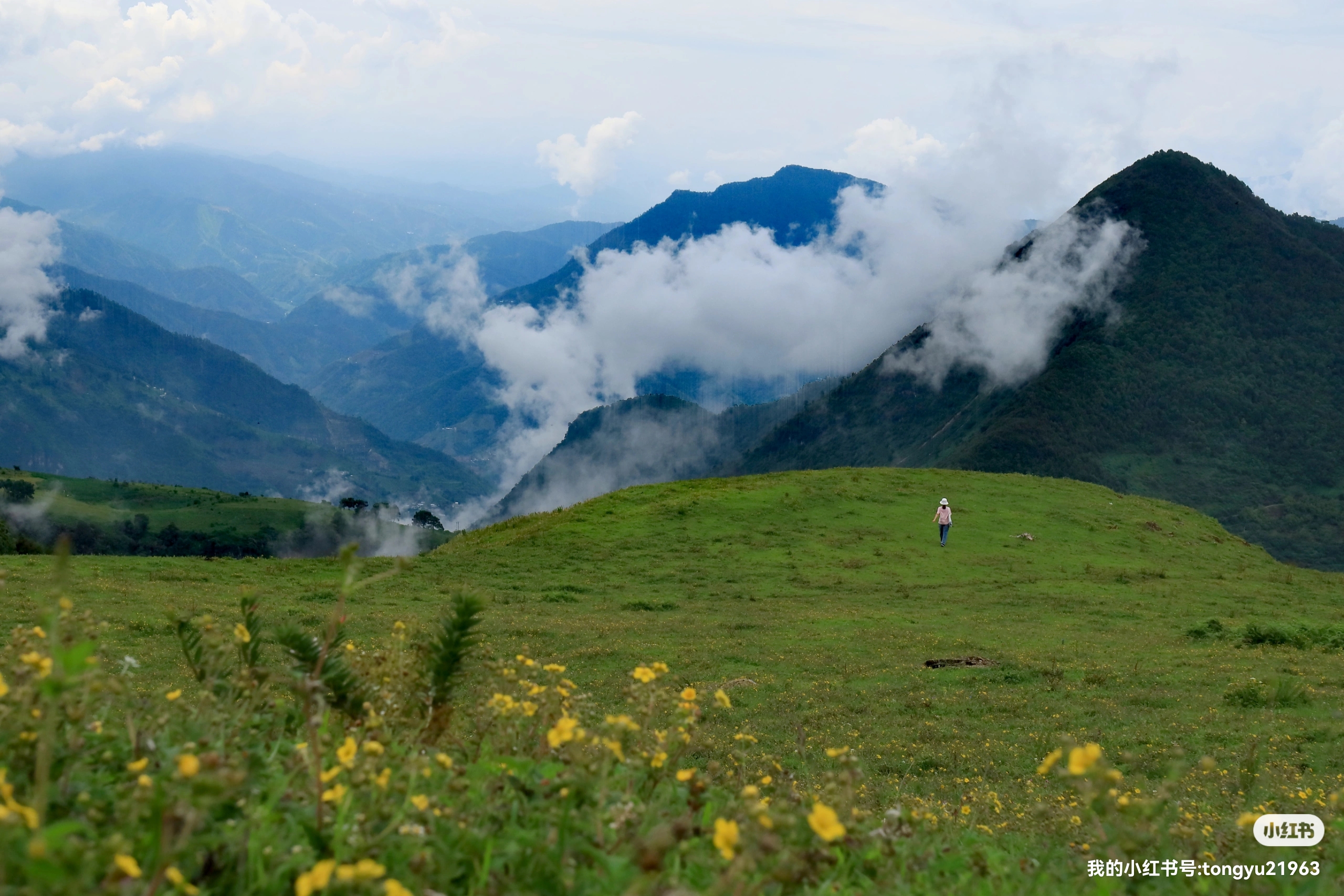 攀枝花的空中草原_马鹿寨