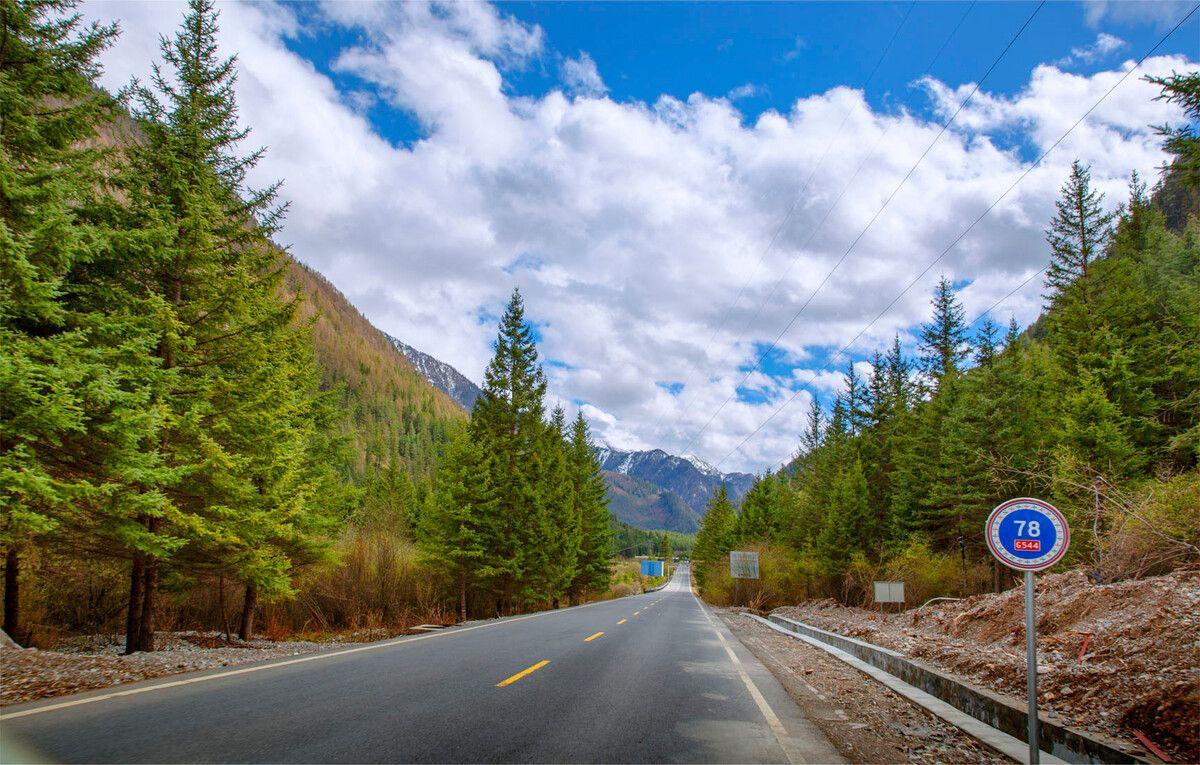 有意境的湖畔公路
