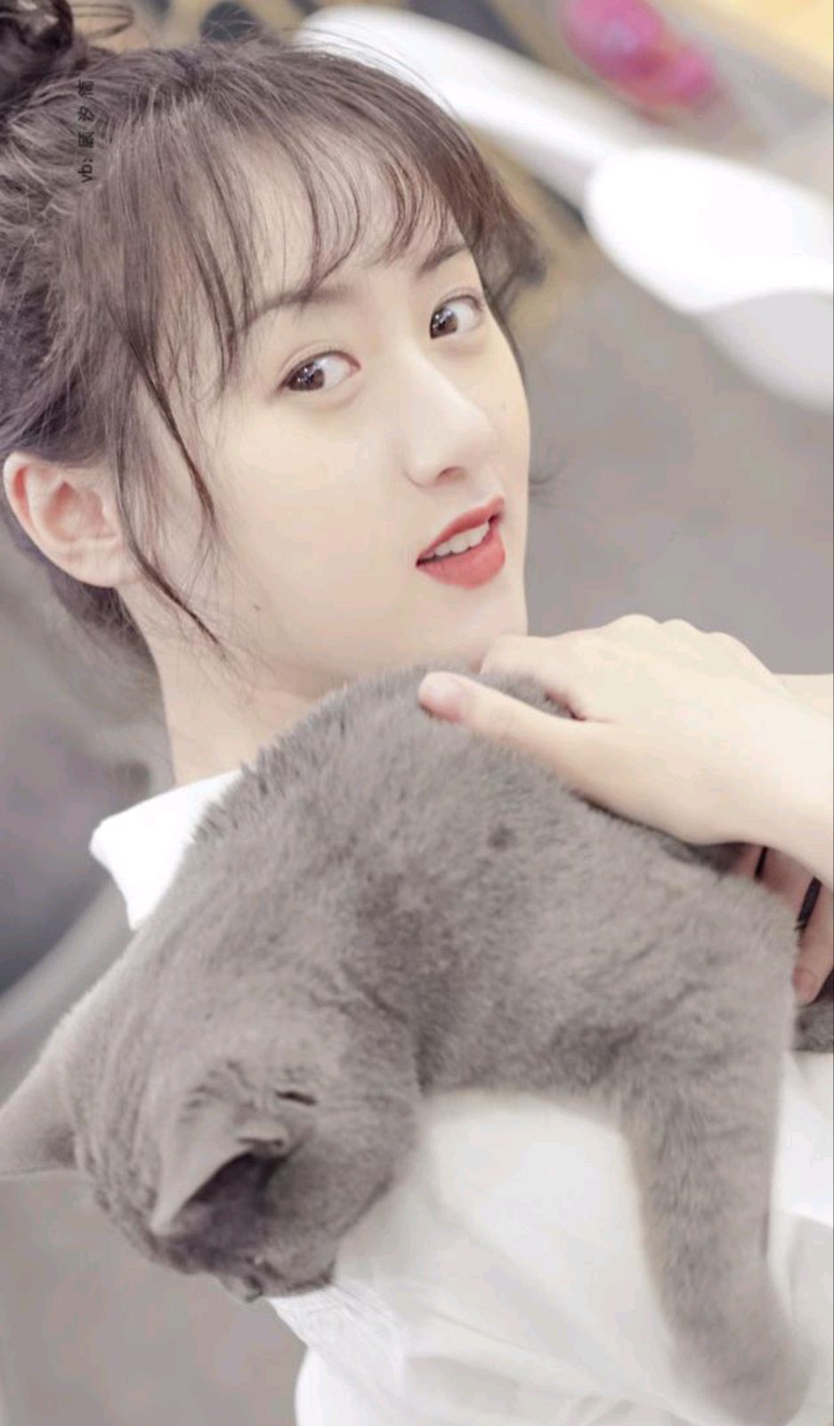 袁冰妍现状复出无望