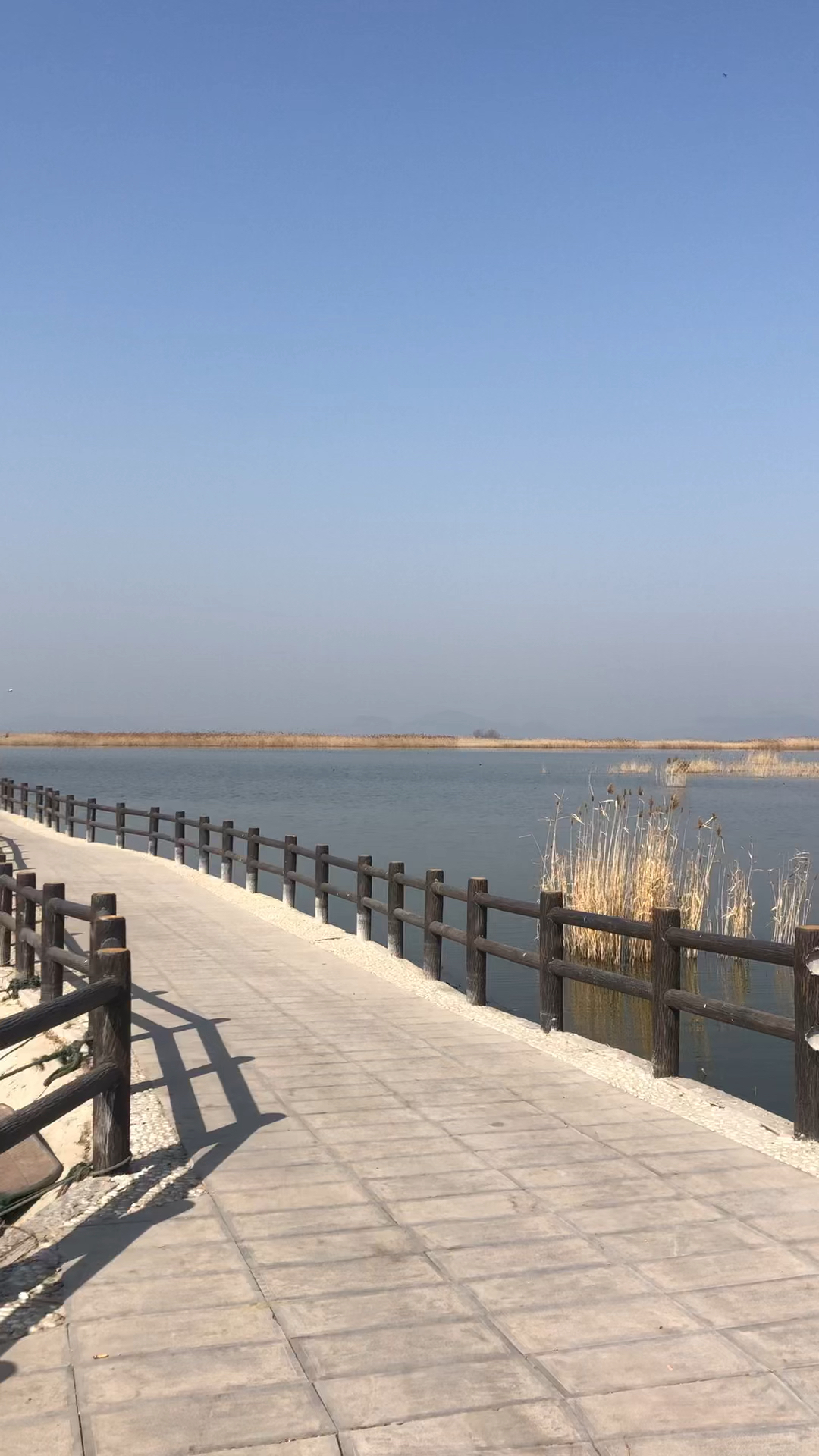 山东东平湖八百里水泊