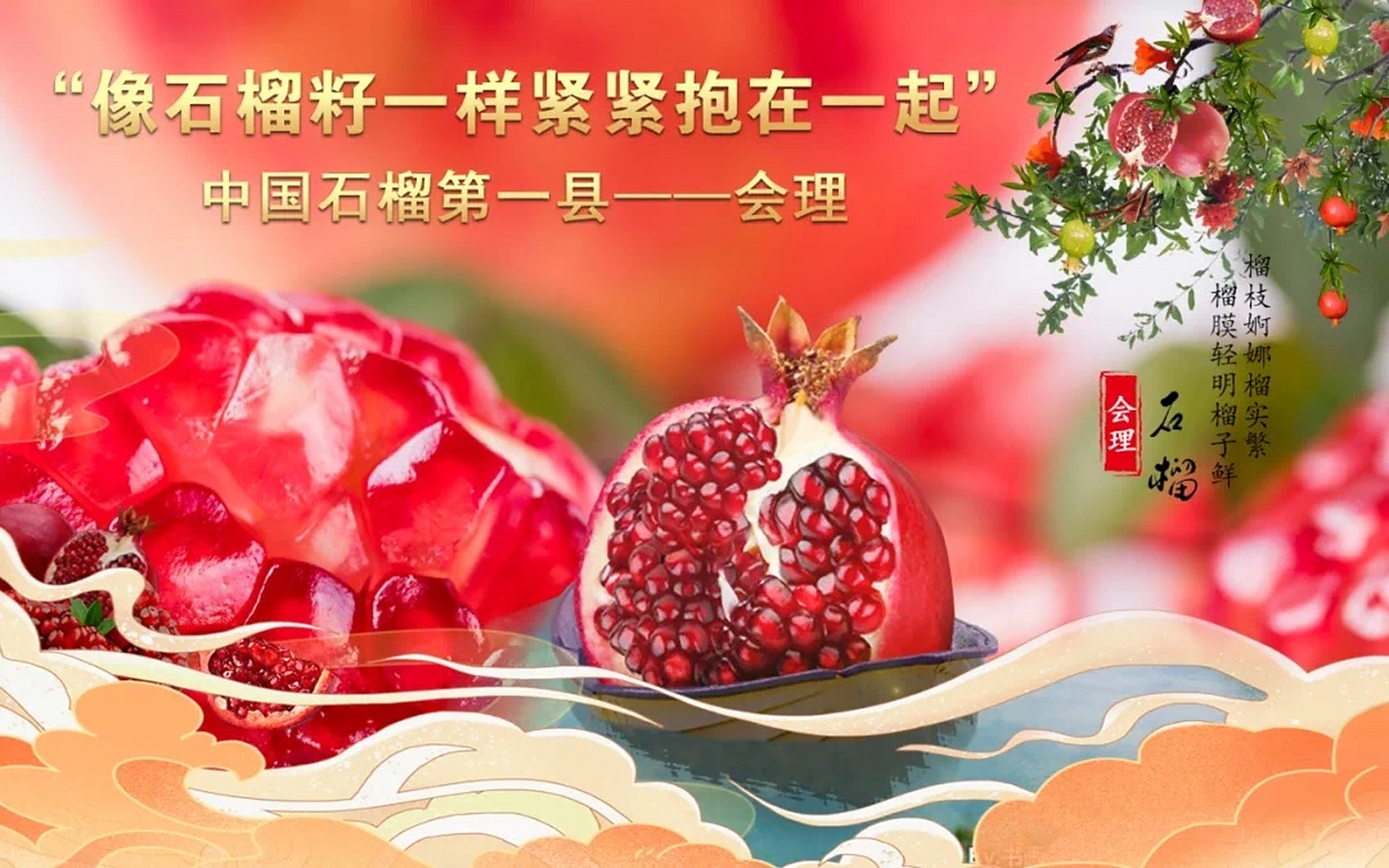 石榴一身都是宝#石榴# #会理软籽石榴# 会理市#会理湘艾家庭农场