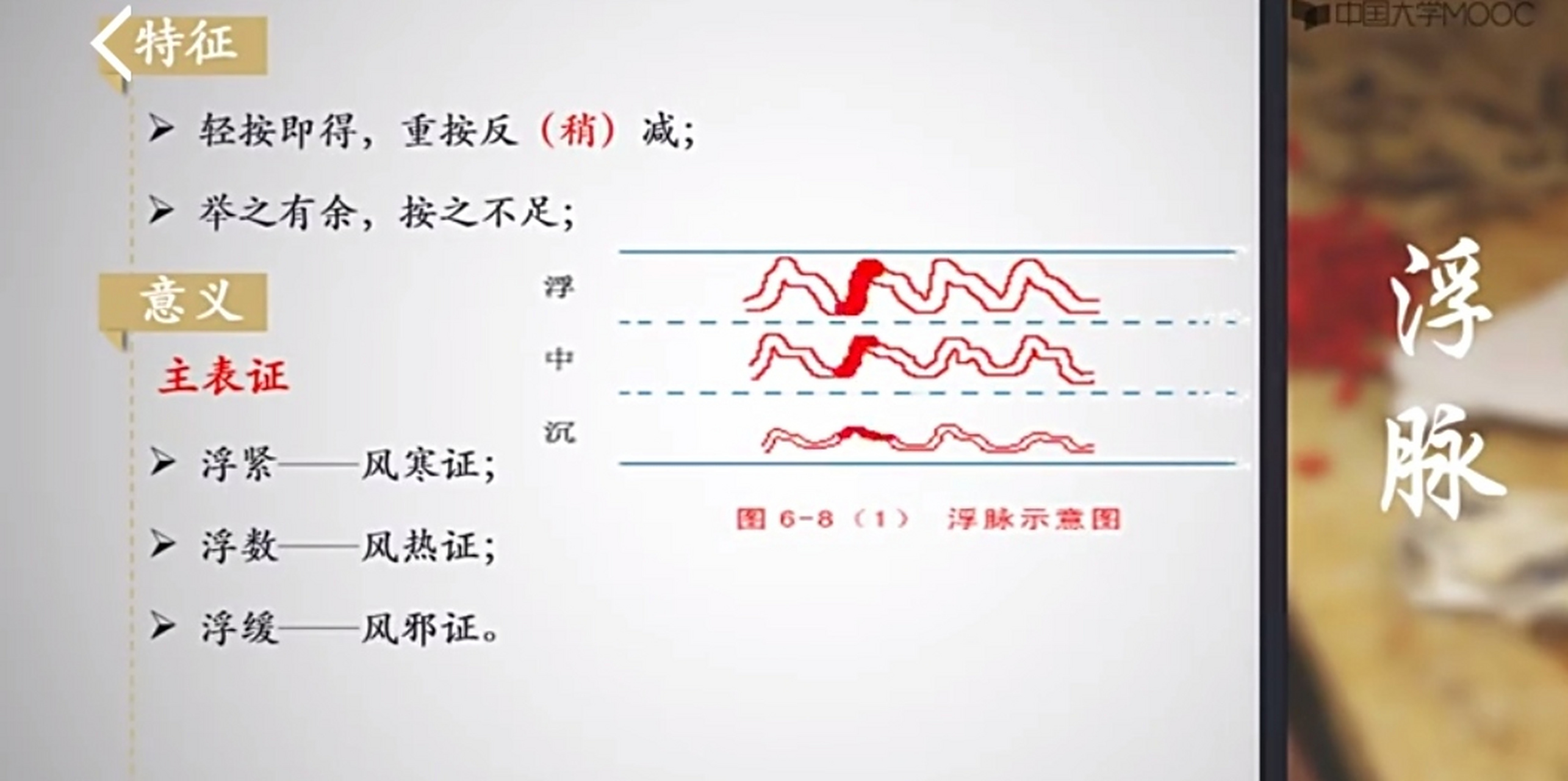 中医"诊脉"一一"浮脉"的特征,意义,浮脉"主表证",正常情况