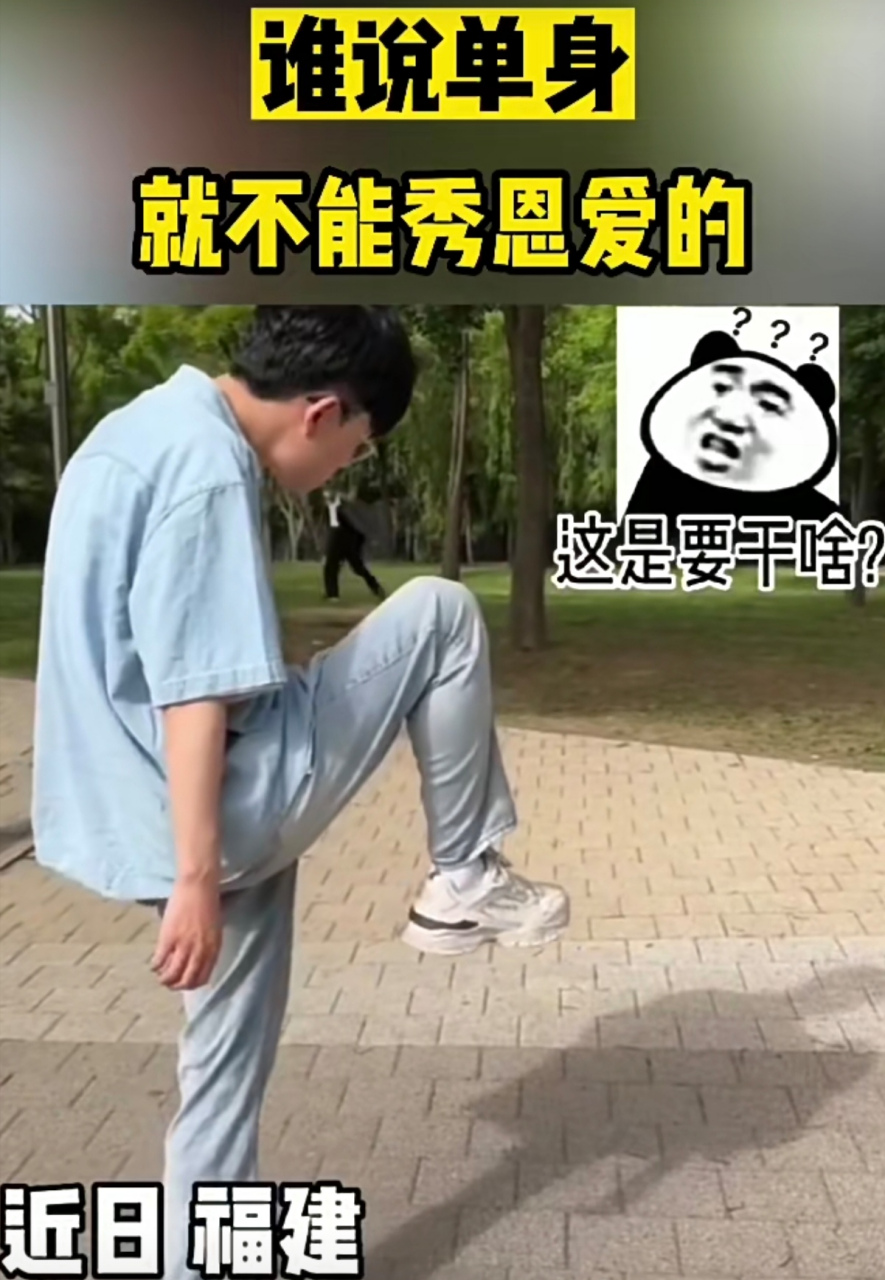 單身狗最後的倔強[給力]