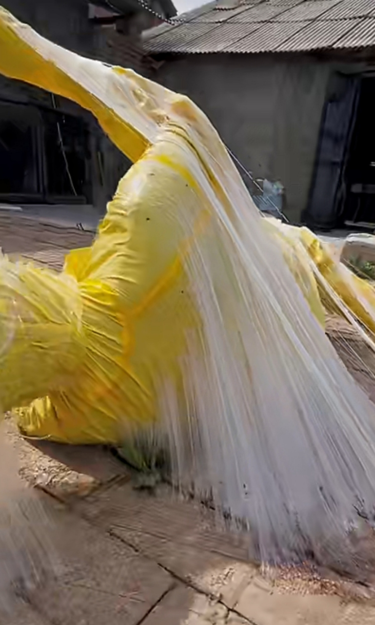 哈哈,这粘鼠胶确实挺粘啊[左捂脸]