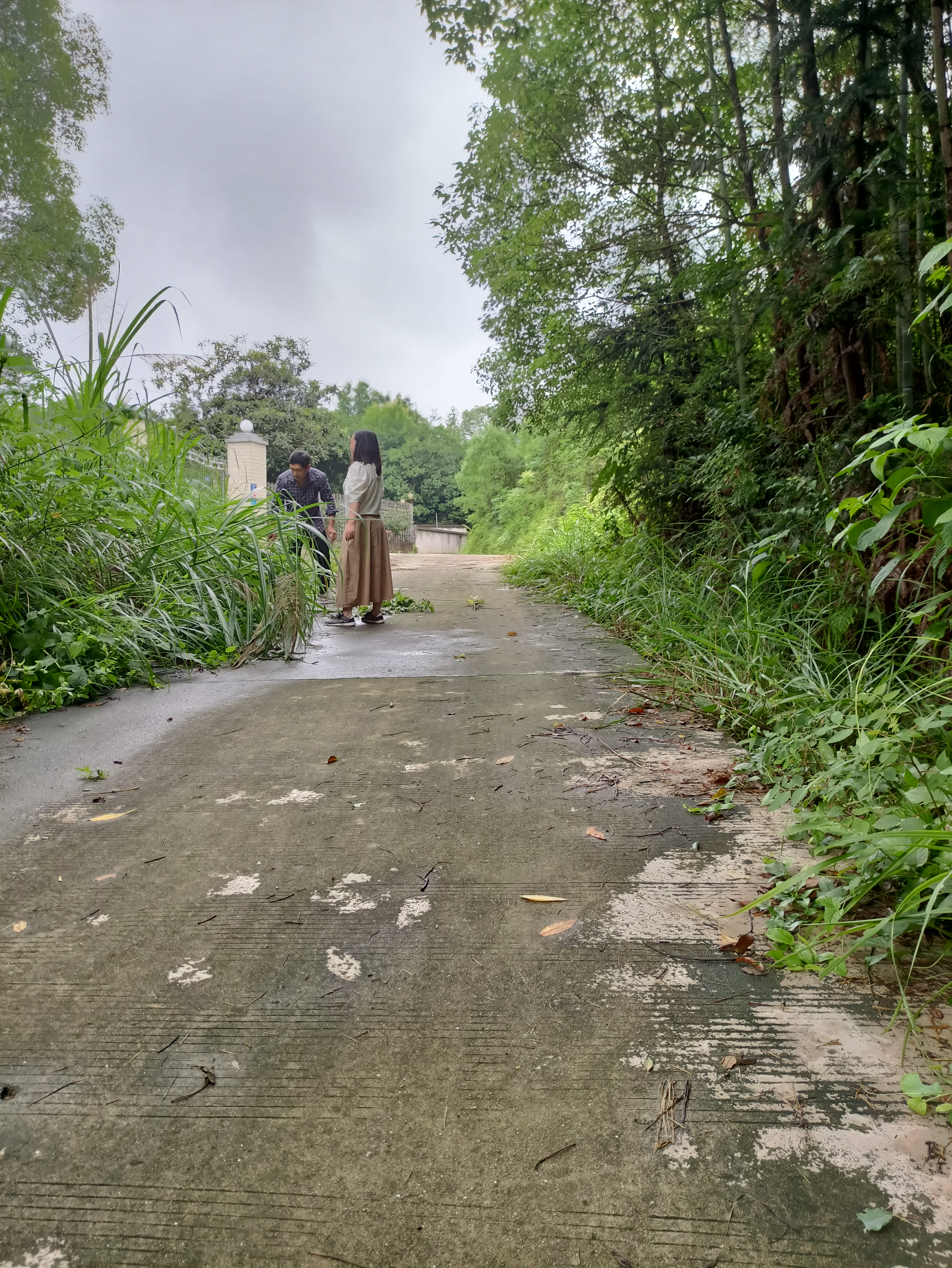 长沙县安沙镇和平村:公路无人维护重残村民出行受障 热心人施援手