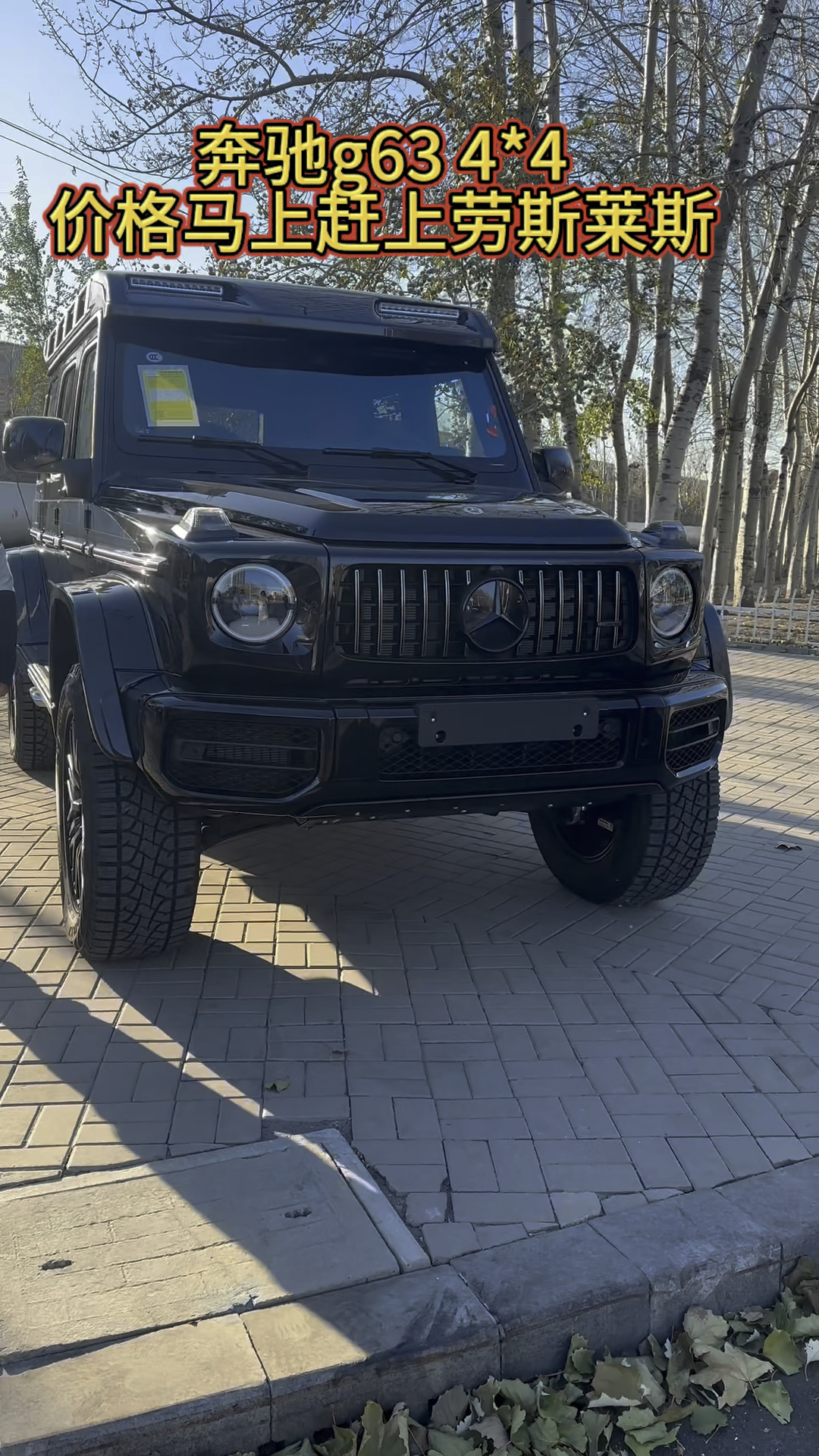 奔驰大g4x4报价图片