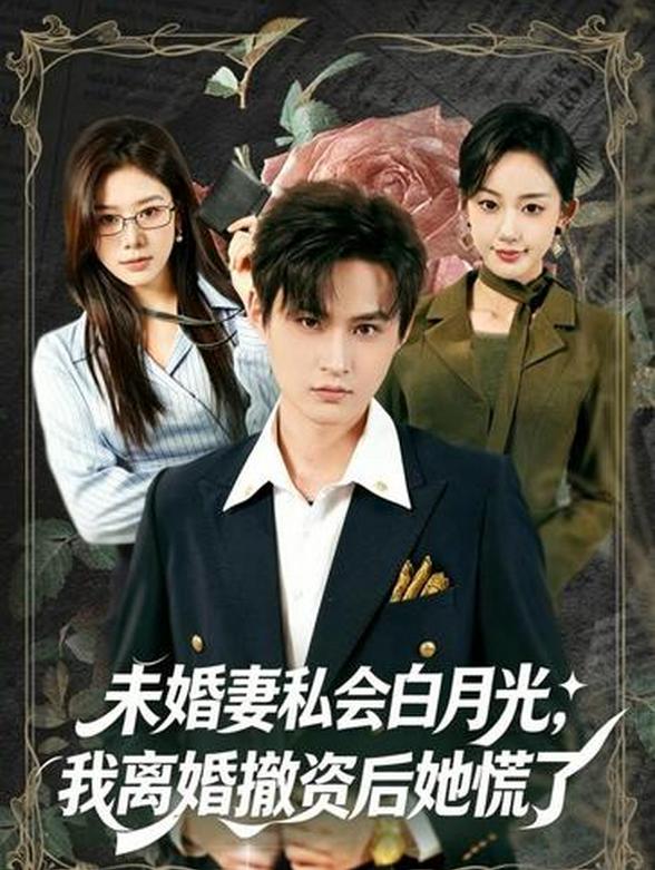 未婚妻私会白月光，我离婚撤资后她慌了