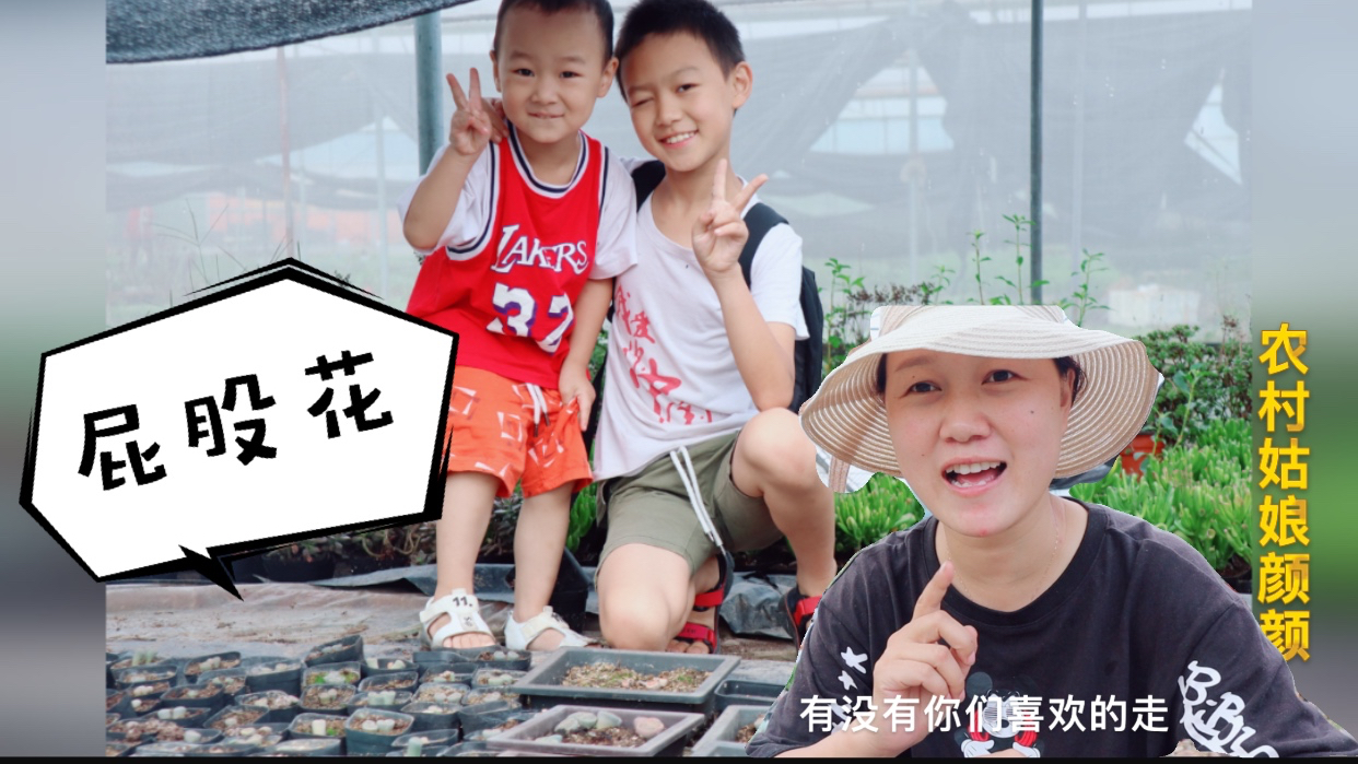 宝宝看着多肉生石花,一个劲说“屁股花”满脸的惊奇!