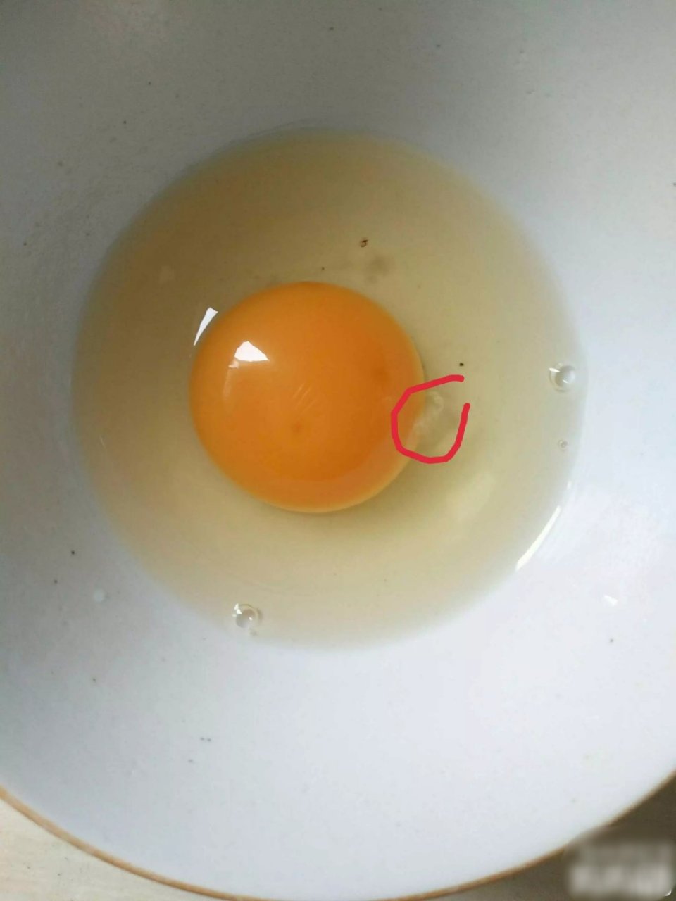 鸡蛋白絮叫蛋系带,可以吃,有药用价值,有营养,它是蛋白的一部分