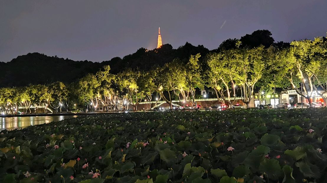 夜晚下着小雨游玩杭州西湖美景