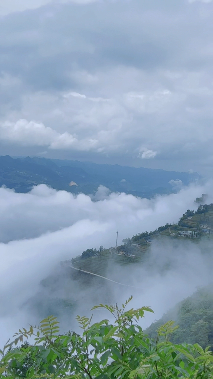 麻栗坡县次竹坝云海