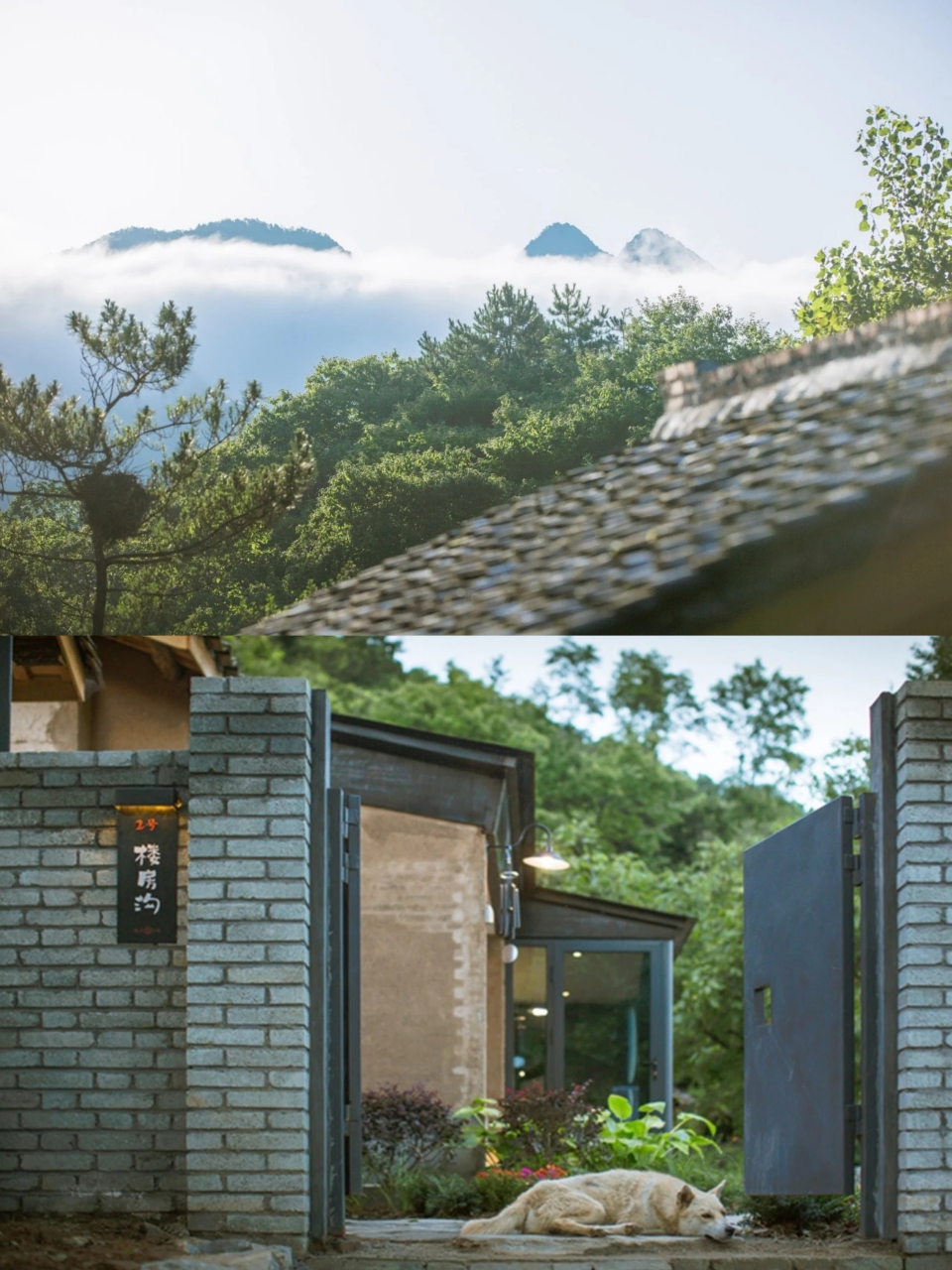 陕西|藏在秦岭深处避世秘境绝美民宿  91留坝县,地处汉中市北部