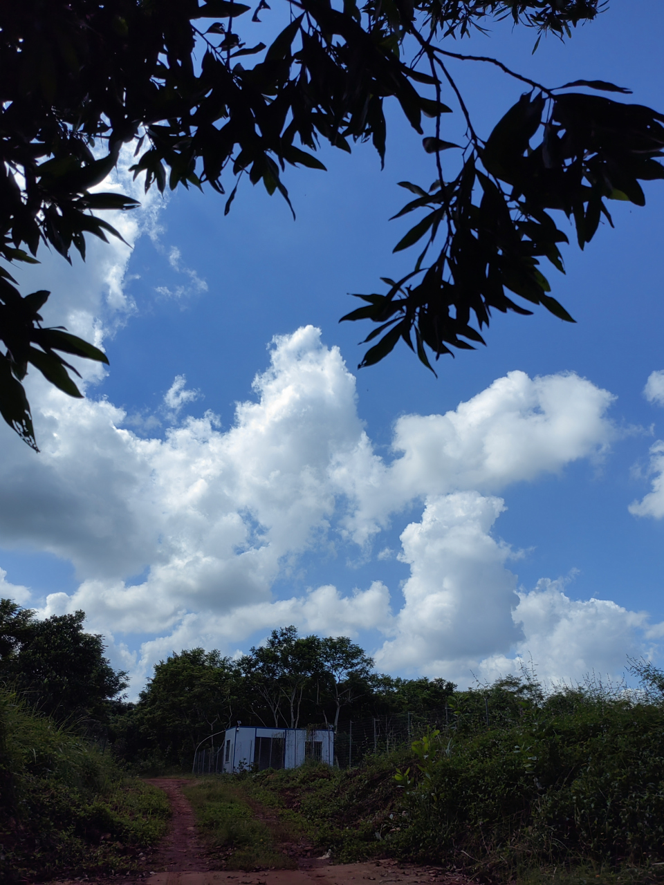 网传【空空歌】  一早期指开空仓,筹码全抛砸到慌.