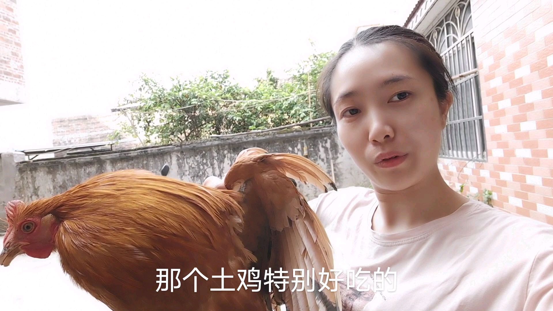 网友说:没见过农村妹子杀鸡,跟随着妹子,一起来看一下怎么杀鸡